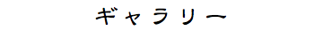 ギャラリー